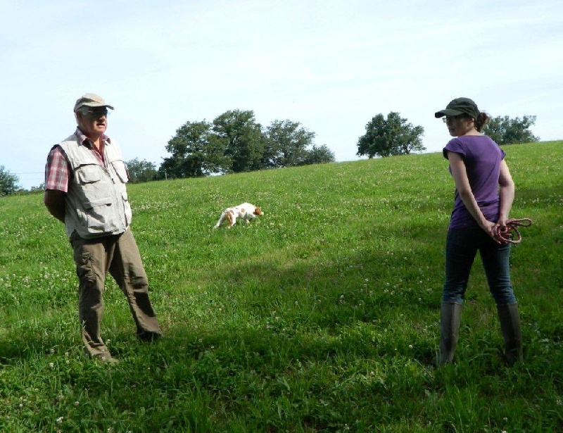 Garone des landes de pavée